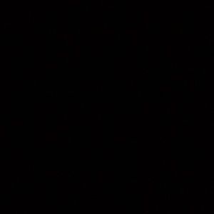 Meet your Posher, Elsie